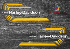 Decals adesivi AMF Sportster