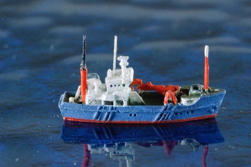 Littorina produttore albatros - produttore,