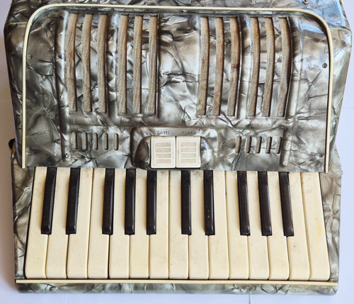 F0140 vecchia fisarmonica - f0140,