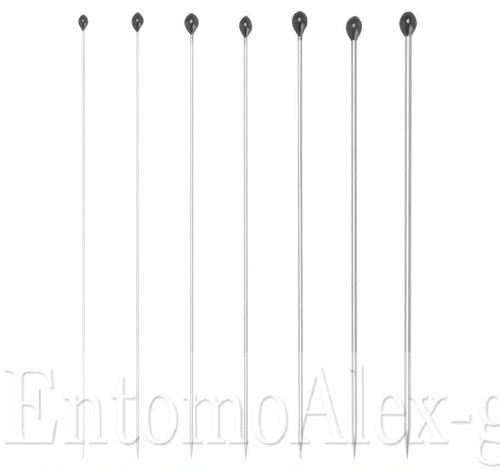 Spilli entomologici stainless - spilli,