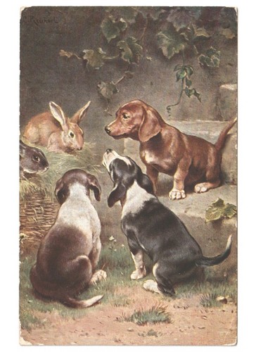 Antica cartolina primi 900 - cartolina, primi'