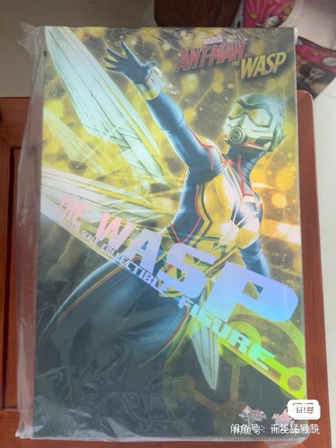 Hot toys mms498 antman - toys, man