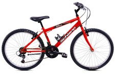 F.LLI SCHIANO MTB 24 Uomo 18v