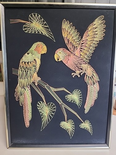 Pappagalli arte corda 18x24