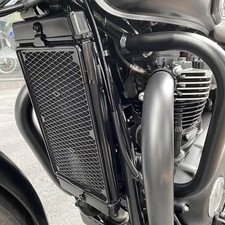 Griglia protezione radiatore