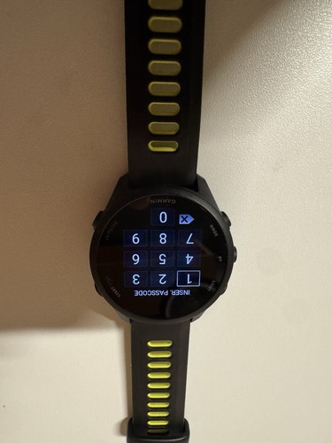 Garmin forerunner 170 - garmin,