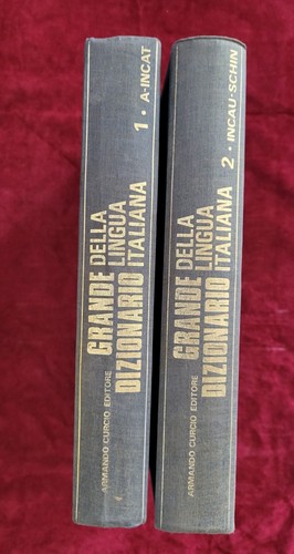 Libro grande dizionario della - grande,