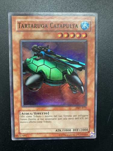 Card tartaruga - -,