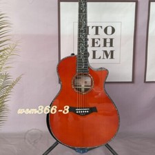 Great Playing Hollow Body PS14