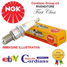 KIT 8 CANDELE NGK O BOSCH ALFA
