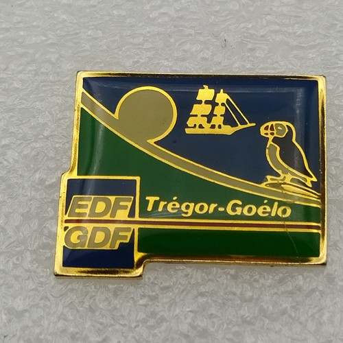 Pin edf - pin's,