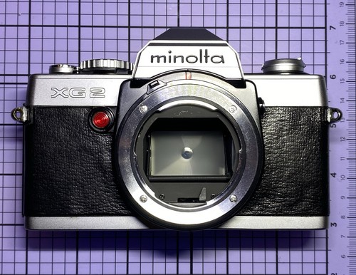 Minolta guarnizione luce - guarnizione,