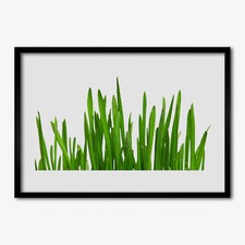 70x50 Cornice di legno MDF con