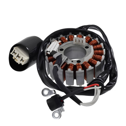 Statore magnete generatore - statore,