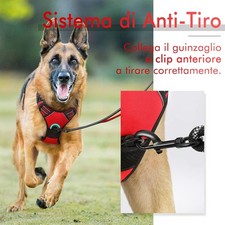 Pettorina Cane XL, Ad H