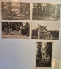 4 postcards of Gilwell Park +