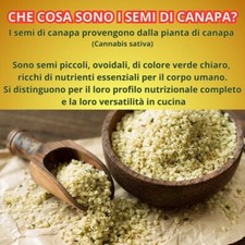 Semi di Canapa BIO  1 kg OMEGA
