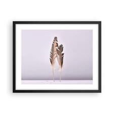 Poster 50x40cm Due piume lilla