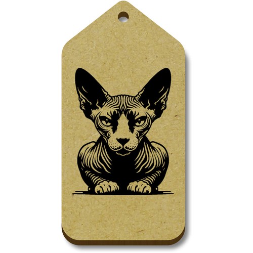 Crouching sphynx cat - 'crouching, cat'