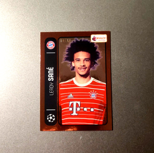Leroy sane 2022 - leroy, merlin