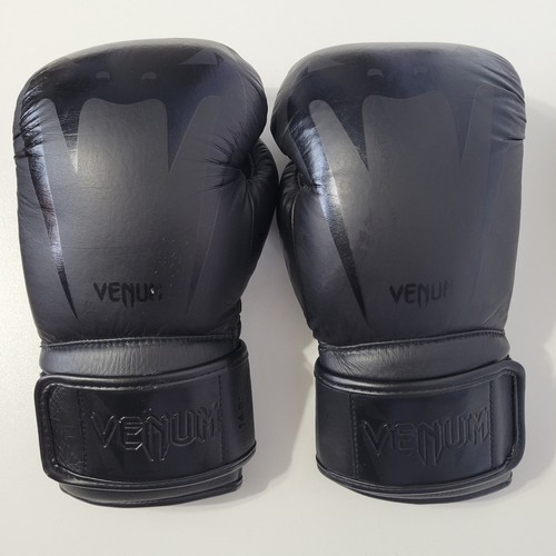 Guantoni boxe allenamento - boxe,