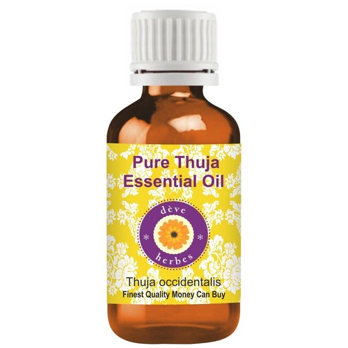 Olio essenziale thuja - di,