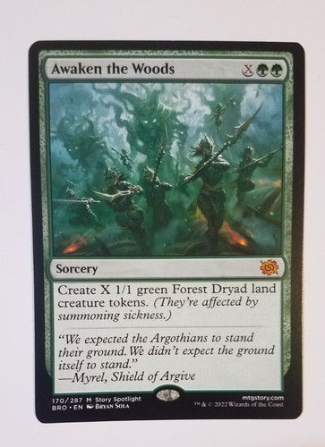 Awaken the woods mtg bro - the, 170