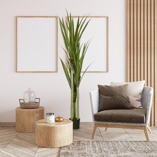 Pianta Artificiale di Yucca da