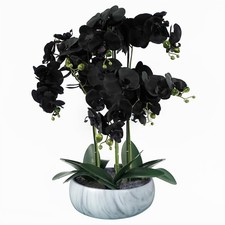 Pianta orchidea artificiale - pianta,