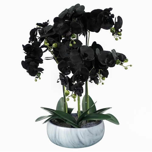 Pianta orchidea artificiale - pianta,