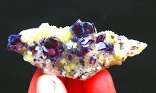 50,3 g fantasma viola naturale