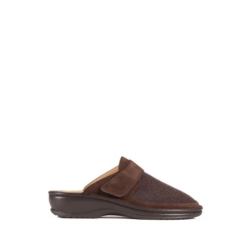Scholl albida bioprint - dr,
