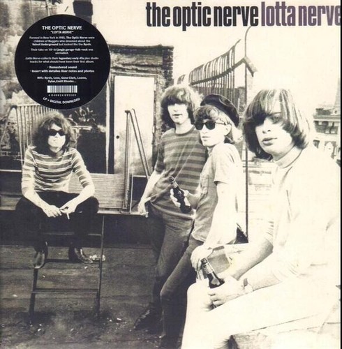 Mp3 the optic - &, nerve