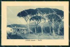 Genova sestri levante pineta - sestri,