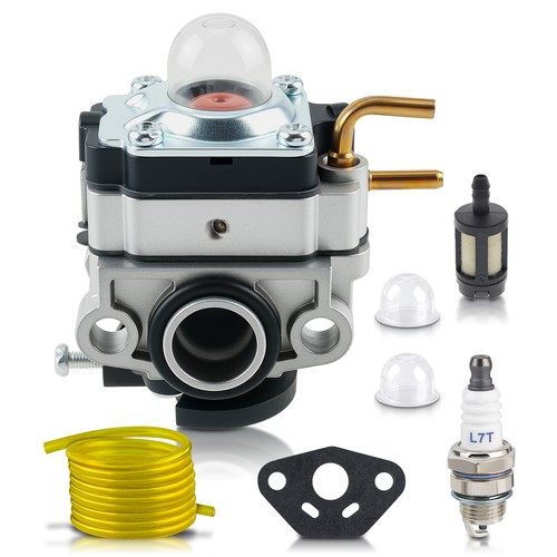 Carburatore per motore