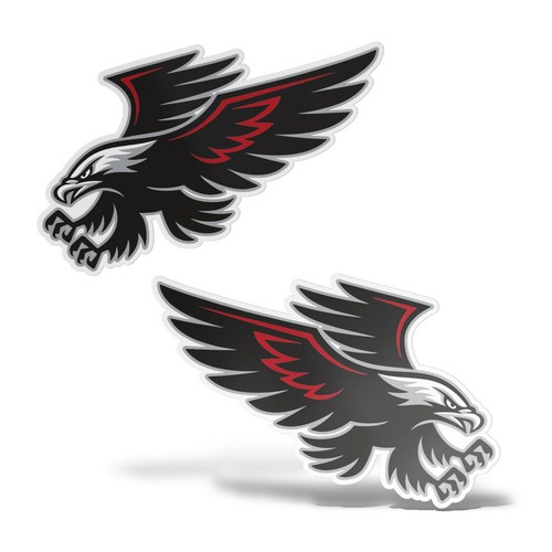 Sticker falco falchi adesivo - falchi,