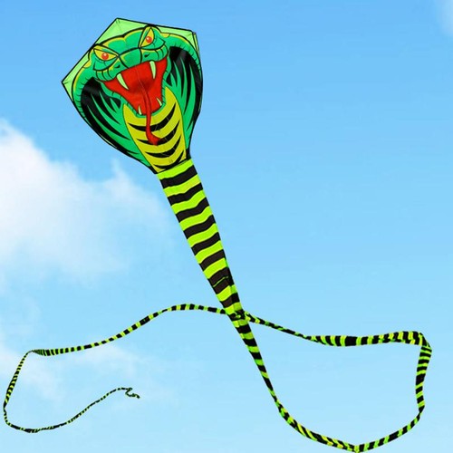 2024 grande aquilone serpente