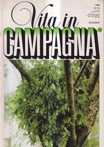 Vita campagna dicembre - vita, 12