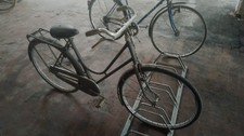 Bicicletta vintage da donna