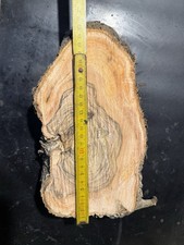 Fetta Di Ulivo Con Venature