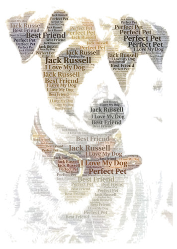Jack russell dog quadro - jack,
