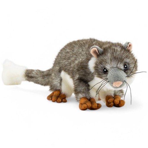 Carl dick opossum circa - circa, cm