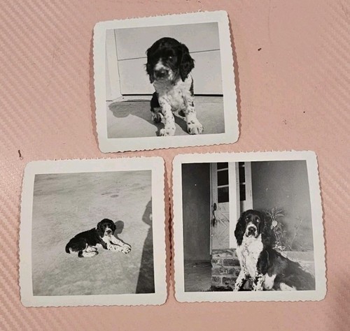 Foto epoca anni 50 - 3,