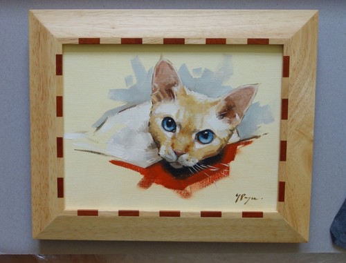 Ritratto originale devon rex - originale,