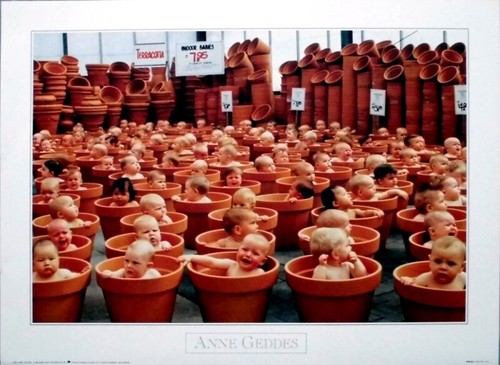 Anne geddes 1993 plakat - geddes,