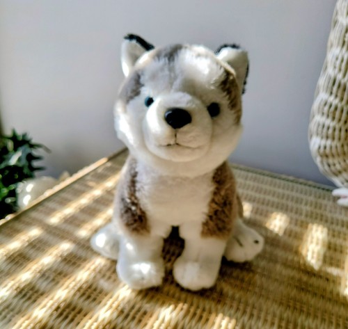 Peluche cane siberian husky - peluche,