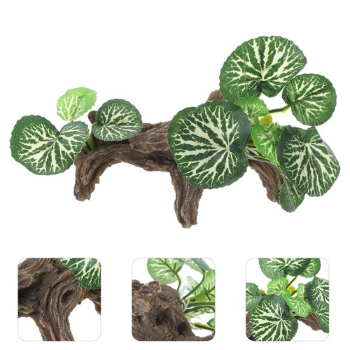 Decorazioni per acquari piante - per,