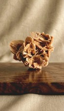 Rosa del Deserto