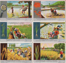 FIGURINE LIEBIG SERIE COMPLETA
