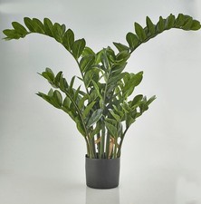 Pianta artificiale zamia - artificiale,